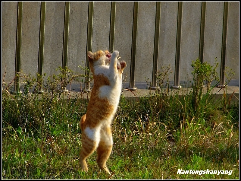 8.真想一口吃下去！