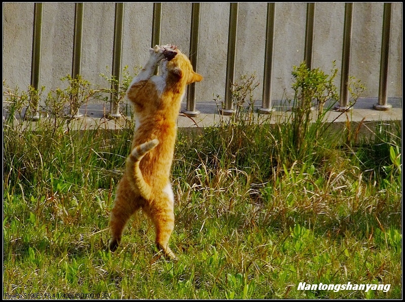 9.还是回家大家分享,小宝贝儿！