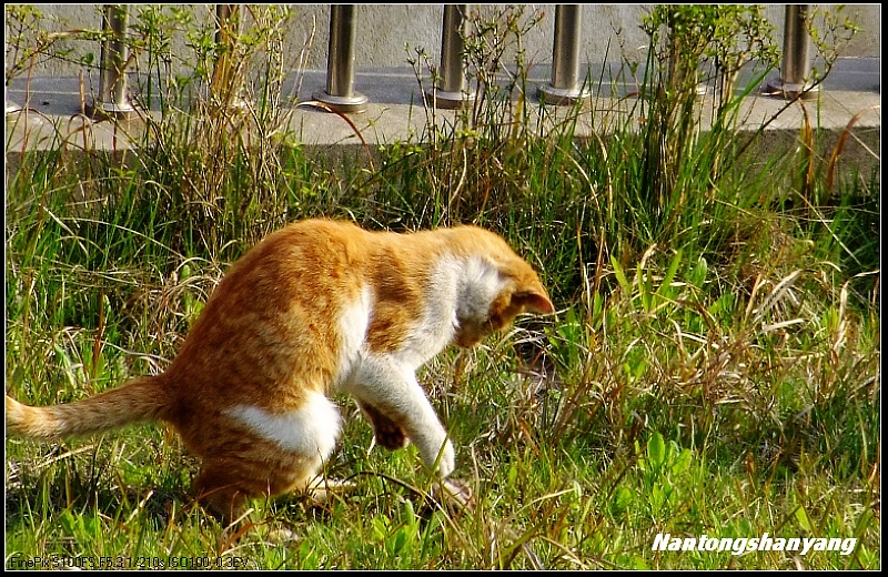 10.看你还跑不！