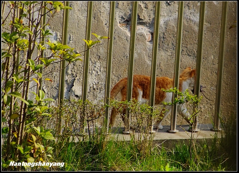 13.回家！宝宝有好吃的了！