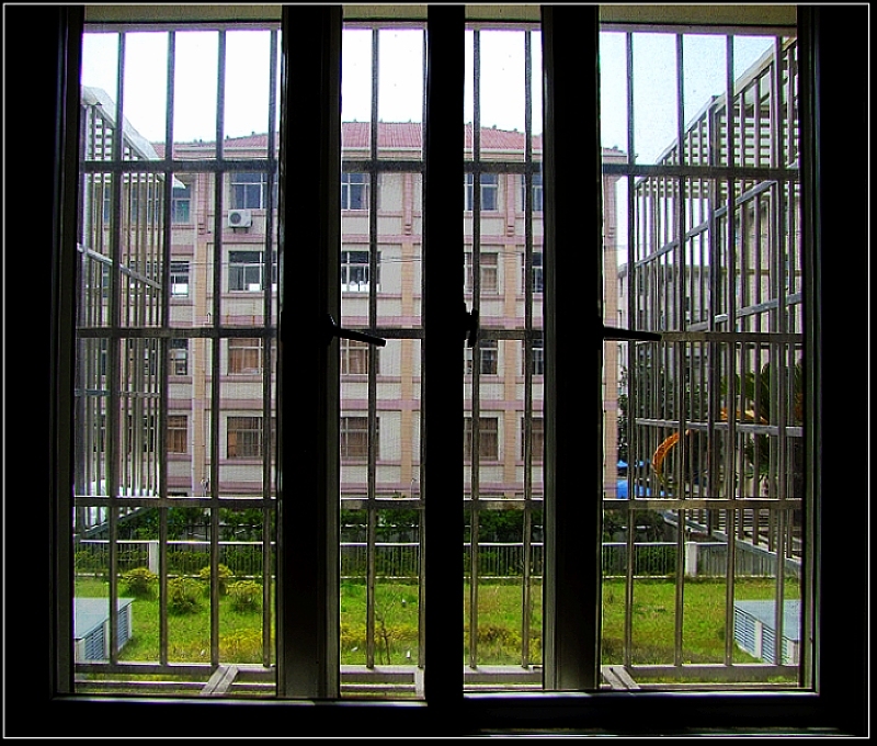 14.拍照现场------三楼窗前，楼下的草地------