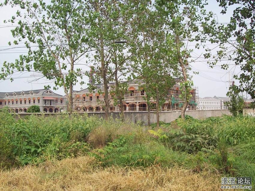 调整大小 100_4457.jpg