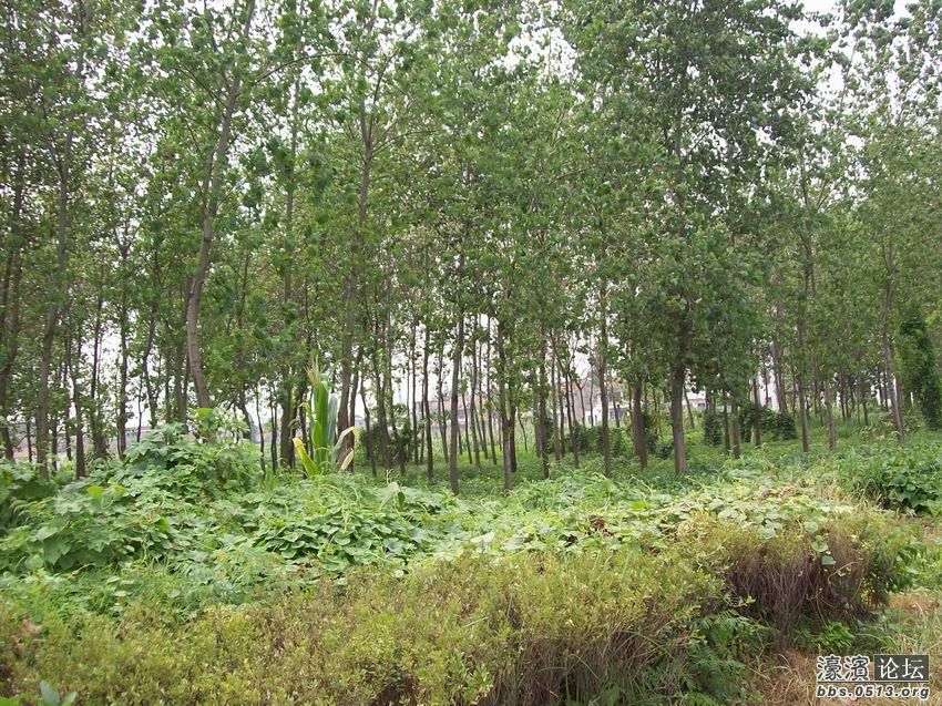 调整大小 100_4447.jpg