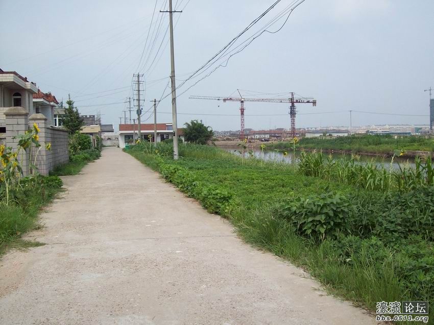 调整大小 100_4453.jpg