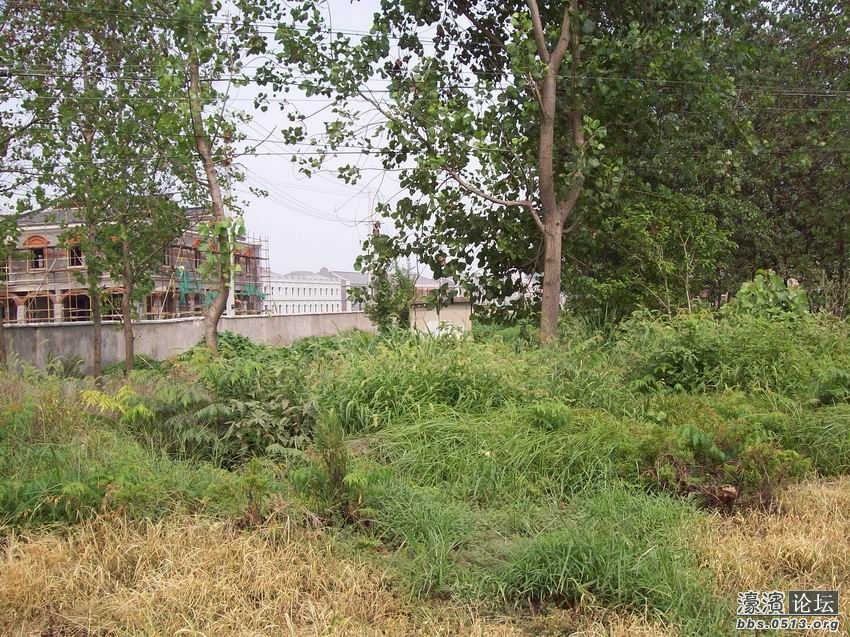 调整大小 100_4458.jpg