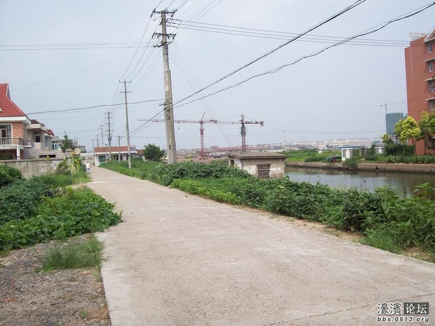 调整大小 100_4456.jpg