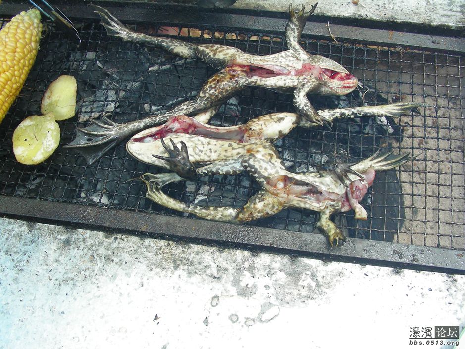 泸沽湖烤牛蛙2.jpg