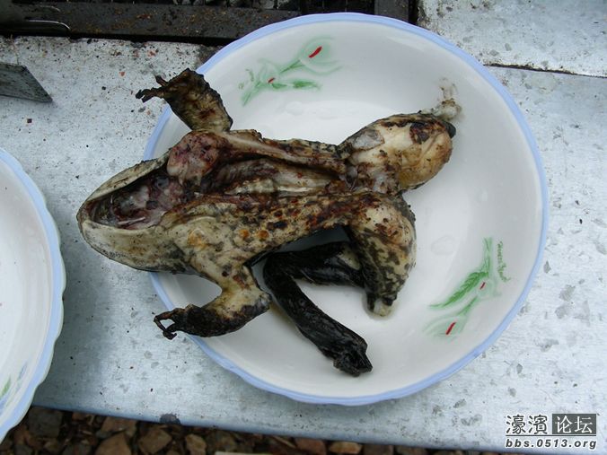 泸沽湖烤牛蛙.jpg