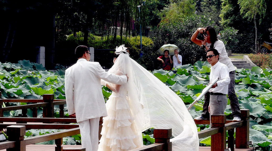 2010年8月29日上午摄于启秀园