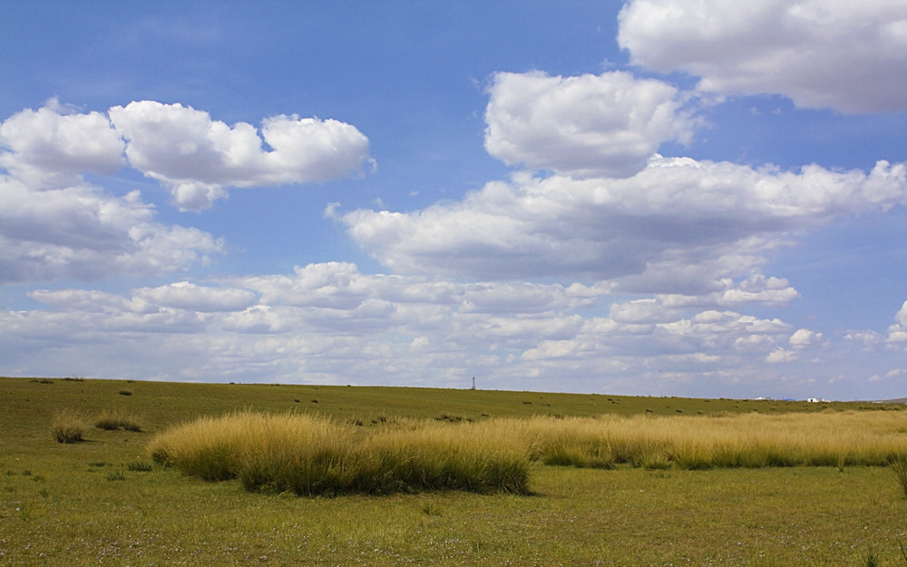 蓝蓝的天白白的云