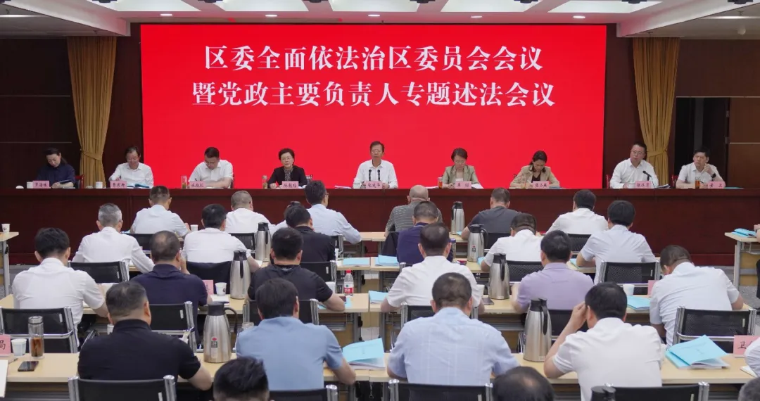 20250517区委全面依法治区委员会会议 徐浩翔 摄 .jpeg